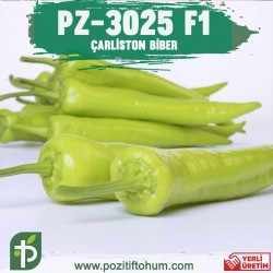 Çarliston PZ-3025 F1