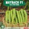 Yeşil Sivri Maybach F1