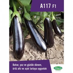 A-117 Patlıcan Fidesi